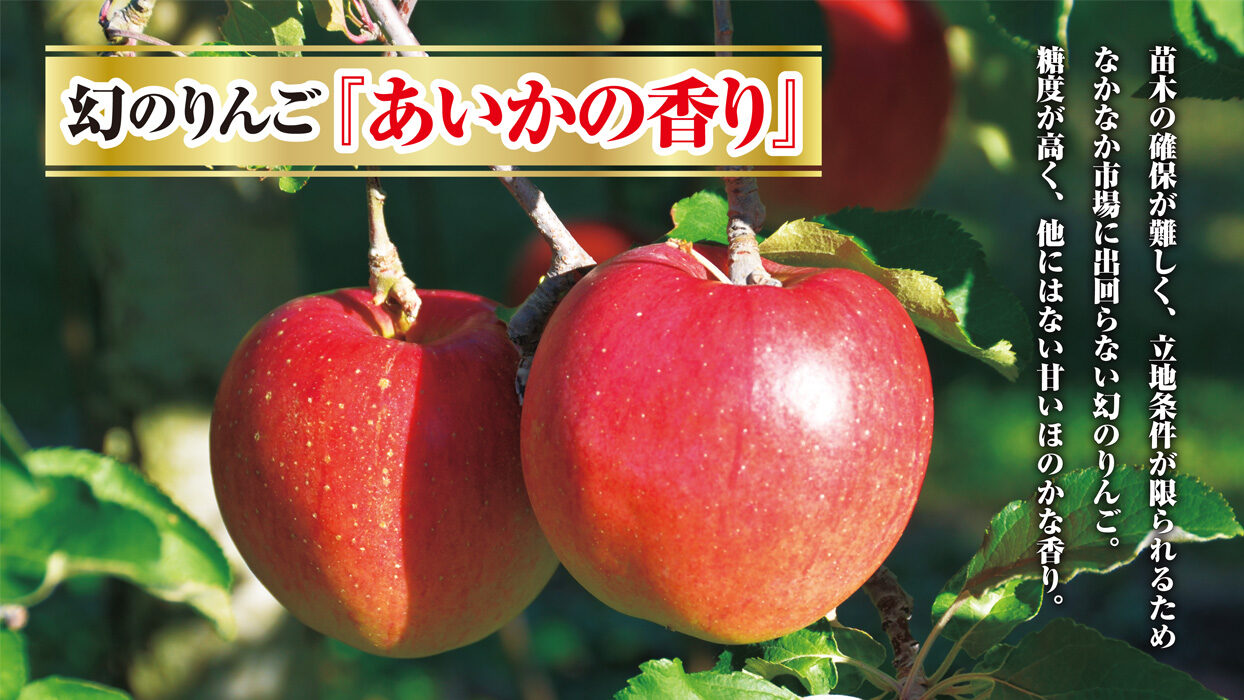 信州のりんご 与古美（よこみ） - 最高級信州りんご通販